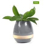 עציץ חכם עם רמקול בלוטות' מובנה ונורות LED